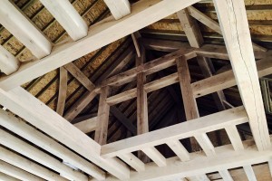 20629873_1094801343984749_1147322325_o