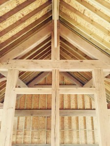 20641391_1094801690651381_306162452_o