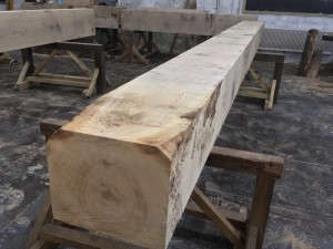 fullsizeoutput_1099