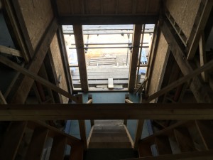 IMG_8442