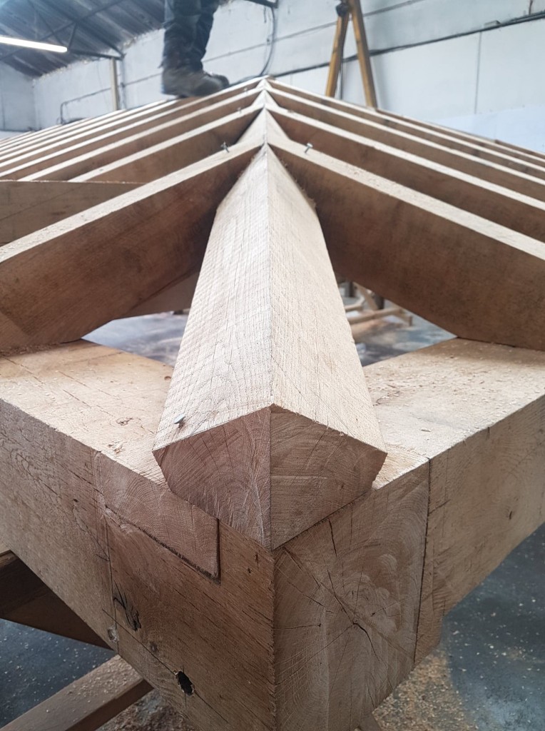 37065091_10156337903398567_8280062240715964416_n